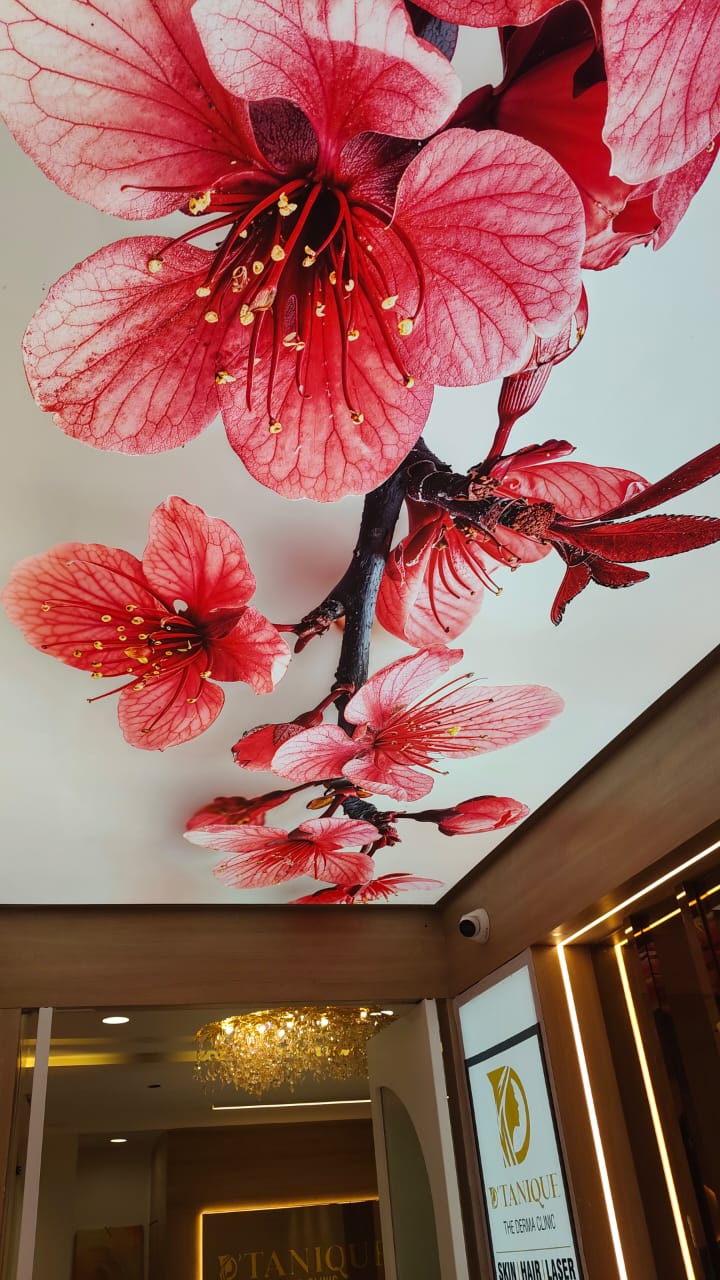 Cherry blossom ceiling artwork